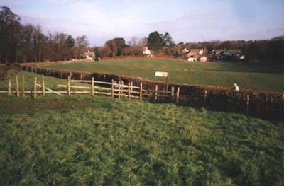 Crash site of BM955 - Hedge marks the boundary with the road