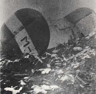 Tail section of B-24 after the crash